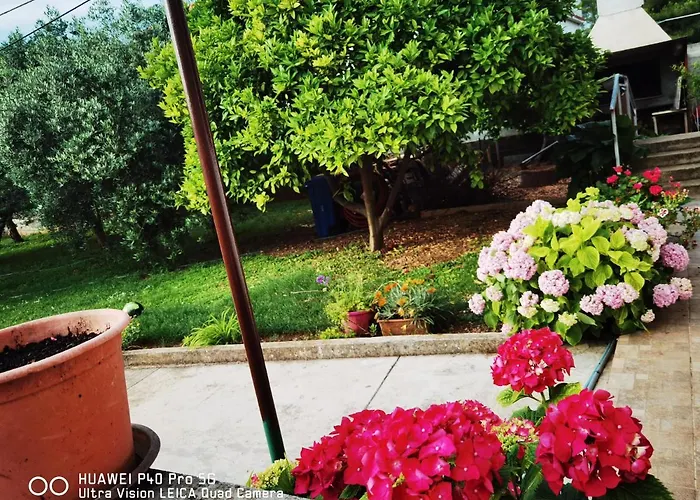 Barbara Διαμέρισμα *