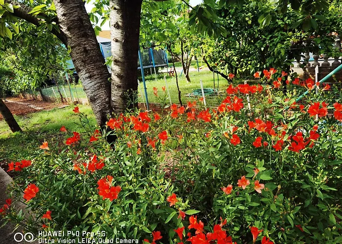 Apartman Barbara Bibinje